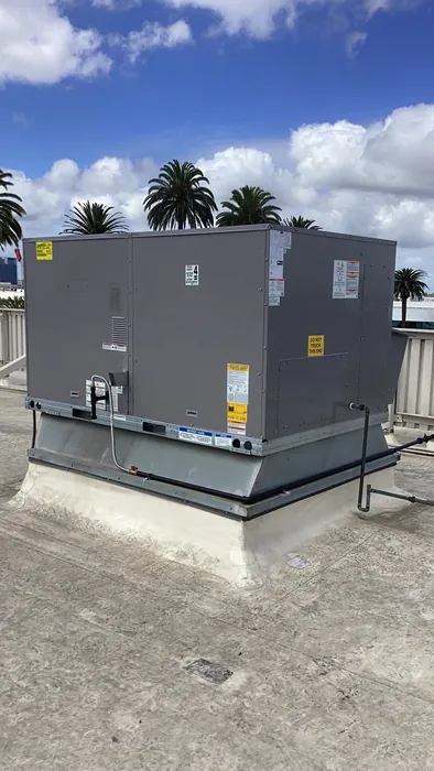 A large gray commercial packaged rooftop HVAC unit set on roof curbs with palm trees in the background.